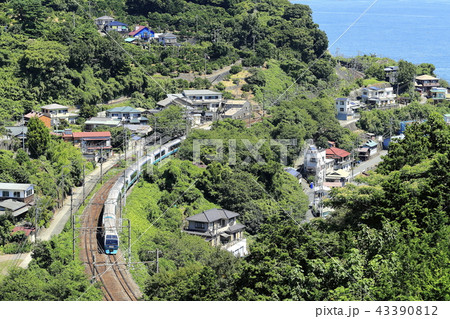 スーパービュー踊り子号 43390812