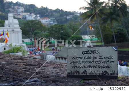 スリランカ　キャンディ　佛歯寺 43390952