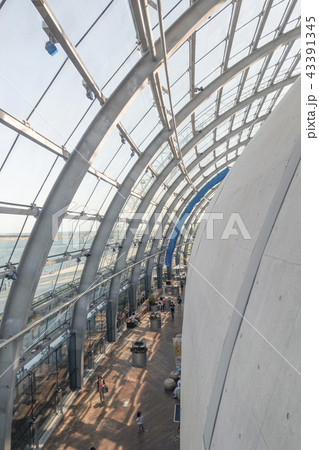 ふくしま海洋科学館環境水族館アクアマリンふくしま新海洋ミュージアム 43391345