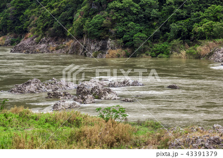岐阜県　坂祝町　木曽川　日本ライン 43391379