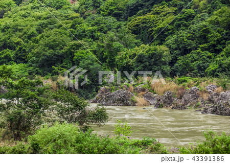 岐阜県　坂祝町　木曽川　日本ライン 43391386