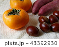 秋の味覚 43392930