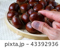 栗を摘まむ 43392936