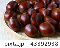 たくさんの栗 43392938