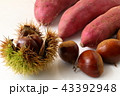 秋の味覚（栗・さつまいも） 43392948