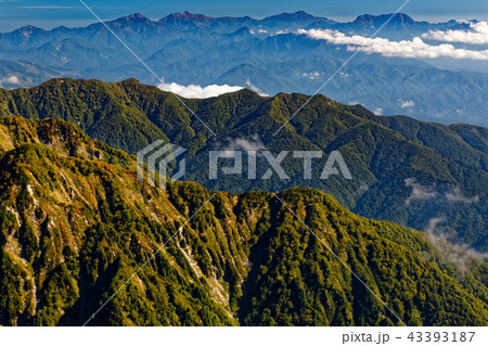爺ヶ岳稜線から見る妙高・火打連峰 43393187