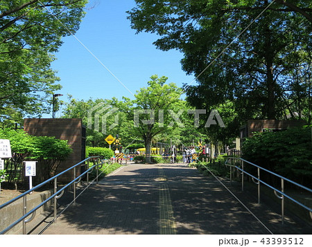 大谷田南公園　Ooyata Minami Park, in Adachi-ku Tokyo 43393512