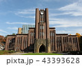 <東京都>東京大学 安田講堂 43393628