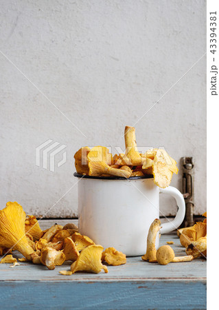 Raw uncooked Chanterelles mushrooms Raw uncooked Chanterelles mushrooms 43394381