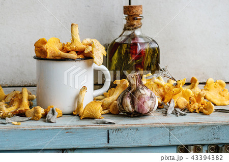 Raw uncooked Chanterelles mushrooms Raw uncooked Chanterelles mushrooms 43394382