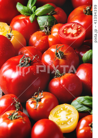 Ripe fresh tomatoes Ripe fresh tomatoes 43394399
