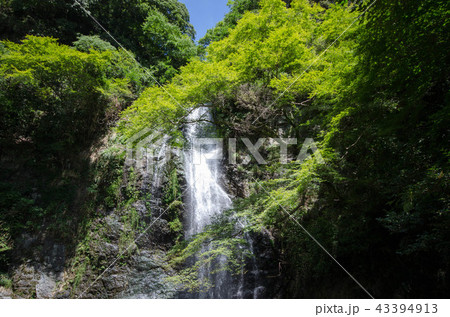 箕面の滝_夏_8 箕面の滝_夏_8 43394913