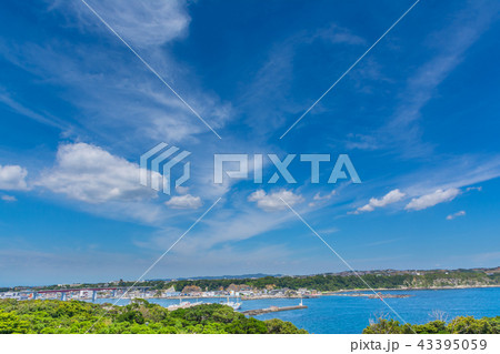 三浦半島・県立城ヶ島公園（第一展望台から三浦半島を眺める） 43395059