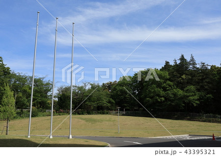 千葉県流山市総合運動公園の風景 43395321