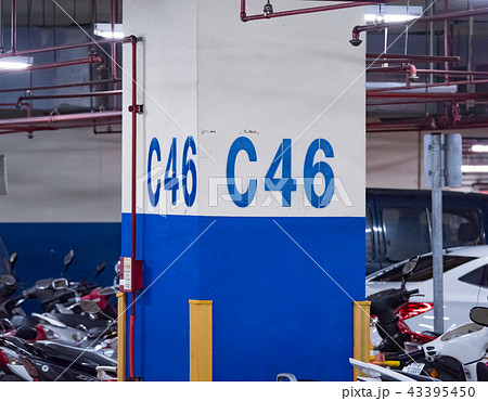 自動車 車 自転 43395450