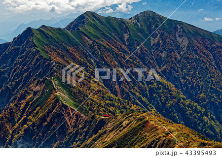 鹿島槍ヶ岳から見る紅葉の爺ヶ岳 鹿島槍ヶ岳から見る紅葉の爺ヶ岳 43395493