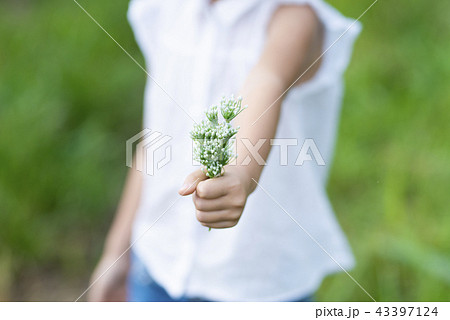 花を差し出す子供の写真素材