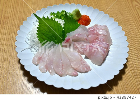 アラの刺身 アラの刺身 43397427
