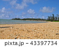 伊是名の海岸 43397734