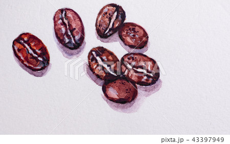 まめ マメ 豆 43397949