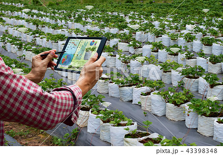 Farmer holding a tablet smart arm robot work  43398348