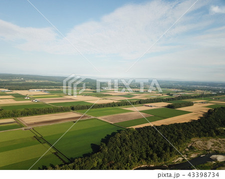 十勝平野 43398734