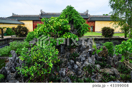 Bonsai trees with small rock mountain 43399008
