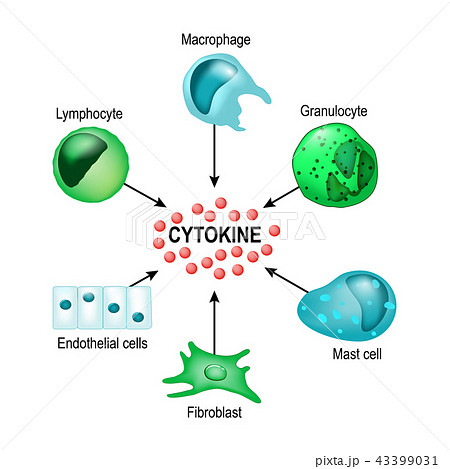 Cytokine Vector Conceptのイラスト素材
