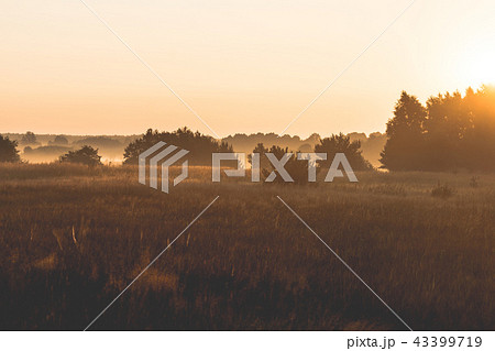 morning on meadow. sunrise landscape photo morning on meadow. sunrise landscape photo 43399719