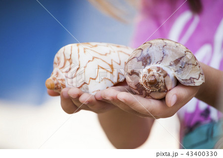 Seashell girl hands beach Seashell girl hands beach 43400330