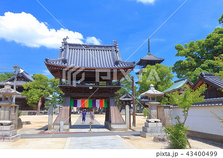 晴天下の善通寺 中門 晴天下の善通寺 中門 43400499
