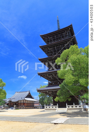 晴天下の善通寺 五重塔と釈迦堂 晴天下の善通寺 五重塔と釈迦堂 43400503