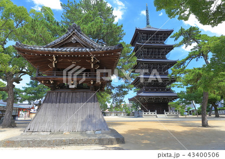 晴天下の善通寺　五重塔 43400506