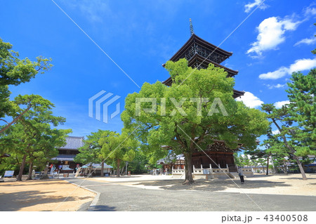 晴天下の善通寺　東院伽藍 43400508