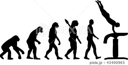 Evolution vaulting table 43400963