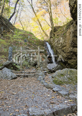 紅葉の御岳山　綾広の滝 43402268