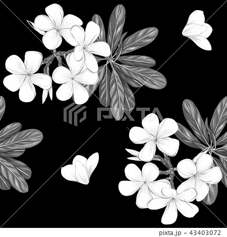 Seamless Pattern Hand Drawn Background With のイラスト素材