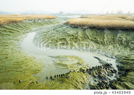 横 風景 韓国 43403949