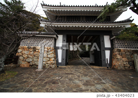 田原城桜門 田原城桜門 43404023