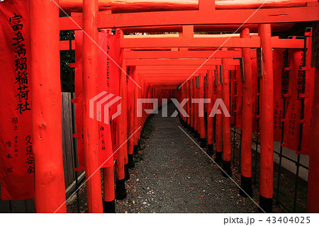 田原城址巴江神社 田原城址巴江神社 43404025