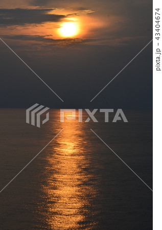 高知 高知 43404674