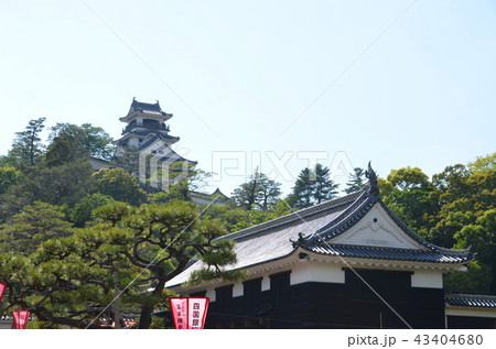 高知 高知 43404680