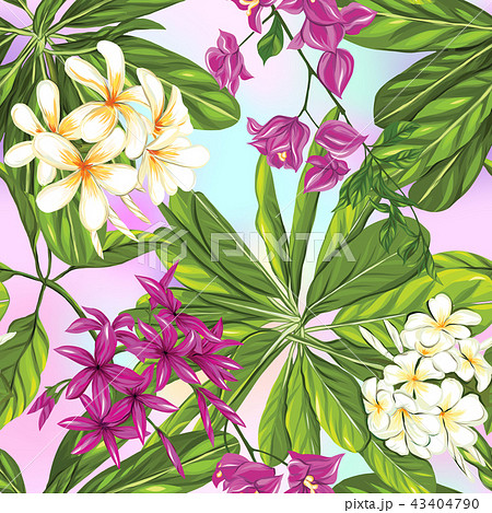 Seamless pattern, background with tropical plants: monstera,  strelitzia,  bougainvillea,  43404790
