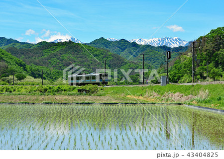 鉄道の旅 篠ノ井線 坂北 鉄道の旅 篠ノ井線 坂北 43404825