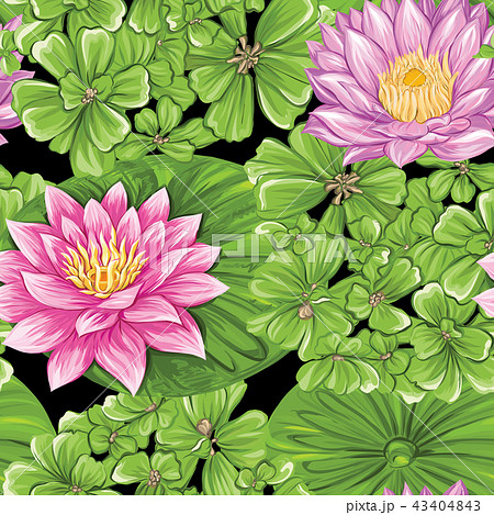 Vector seamless pattern, background with tropical plants  43404843