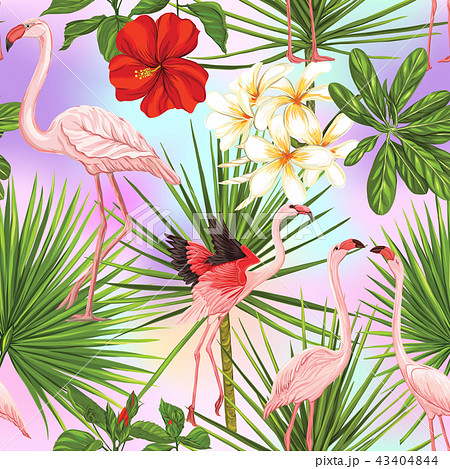 Vector seamless pattern, background with flamingo and tropical plants  43404844
