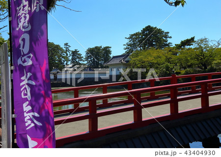 小田原城学橋 小田原城学橋 43404930