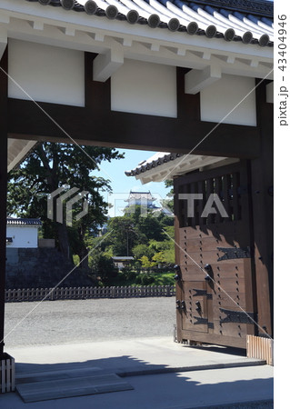 小田原城馬出門と本丸 小田原城馬出門と本丸 43404946