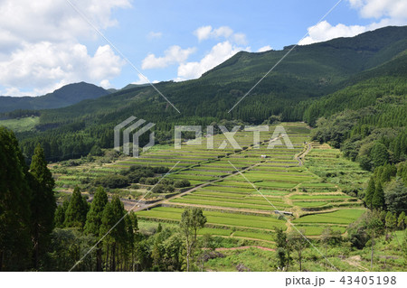 坂元棚田 43405198