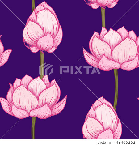 Seamless pattern, background with lotus flower. Botanical illust 43405252